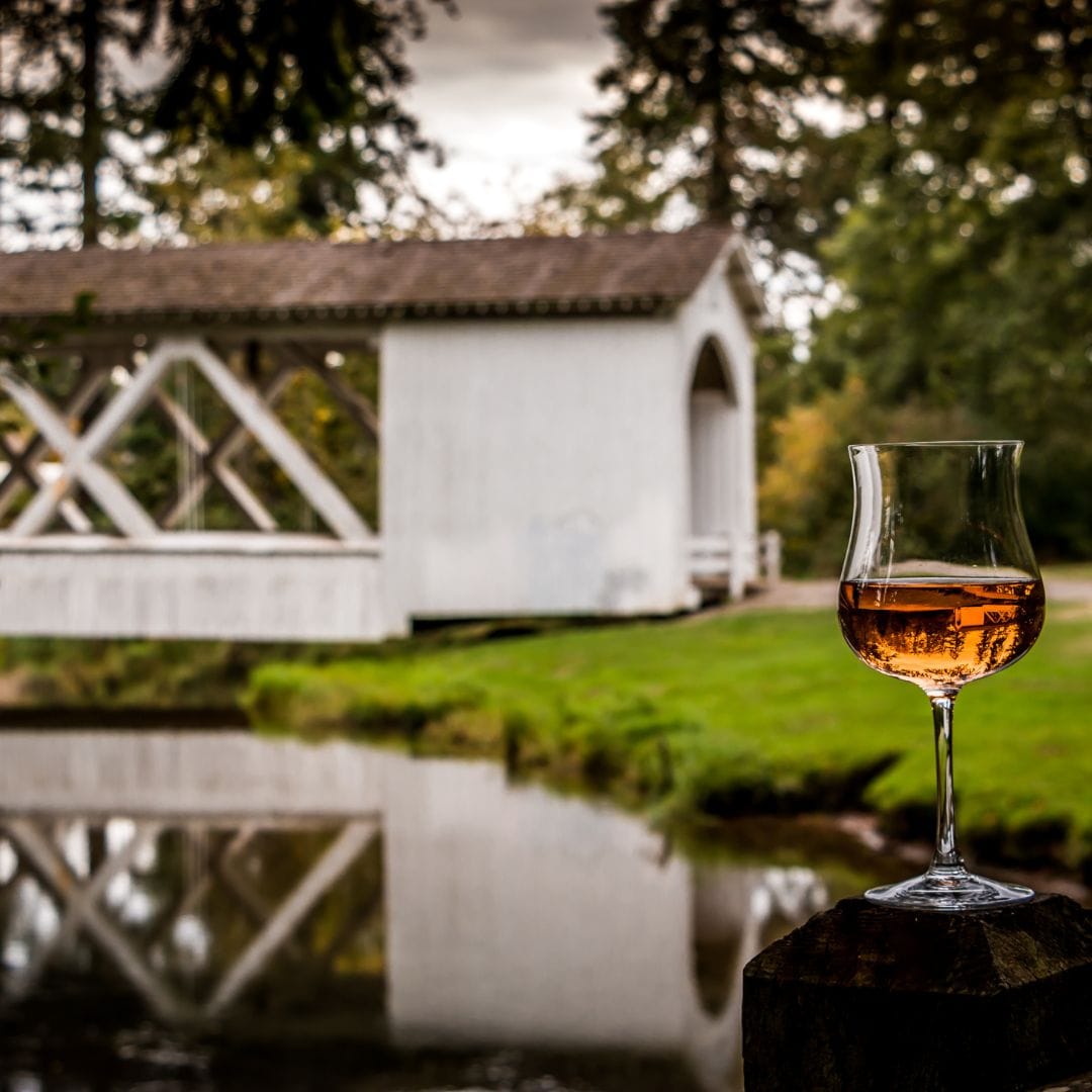 Wine glass at a winery.