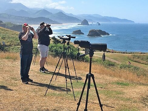 Private Custom Tours